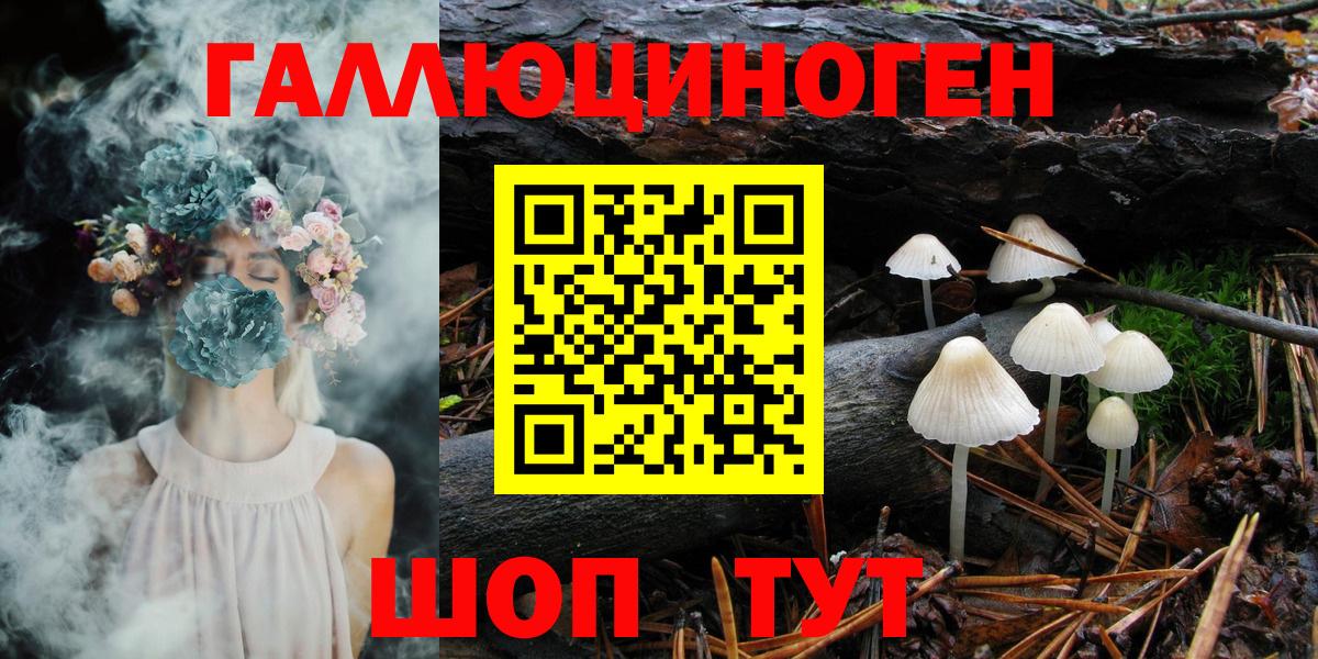 Галлюциногенные грибы GOLDEN TEACHER Междуреченск