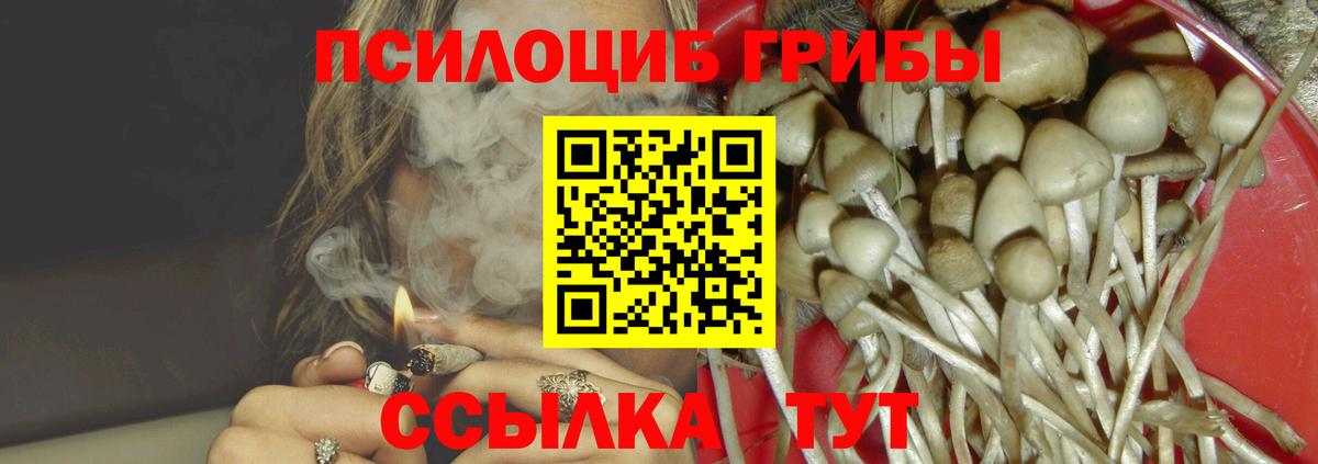 где продают наркотики  Псилоцибиновые грибы Cubensis  Вход с VPN  Междуреченск  Псилоцибиновые грибы Psilocybe 